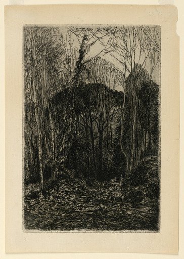 A Wood Interior
