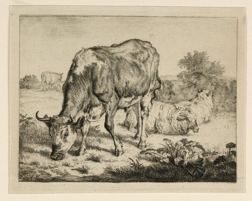 Ox and Three Sheep