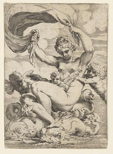 Venus (or Galatea) and Cupids Supported by Dolphins