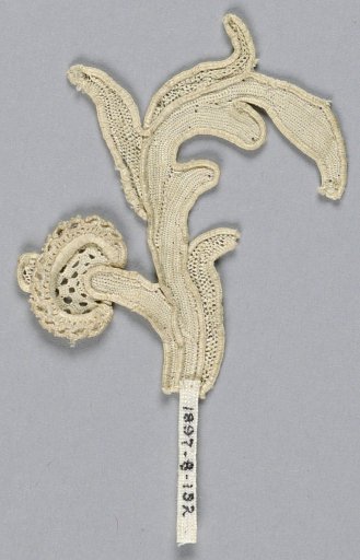 Fragment