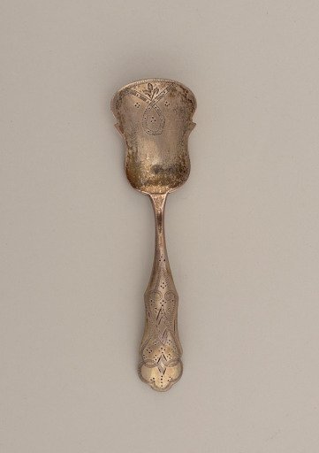 Tea Caddy Spoon