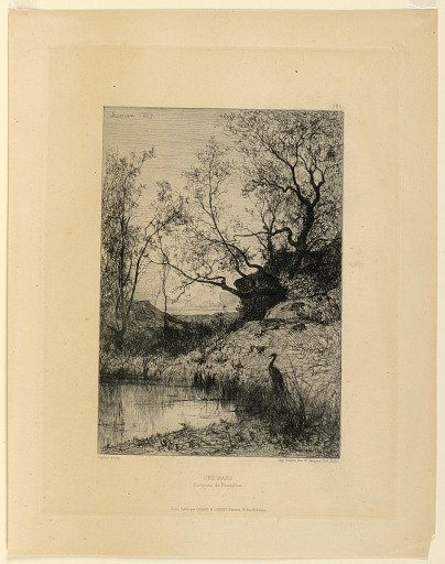 Une Mare (Environs de Rossilon)