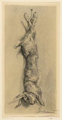 Le Lapin de Garenne