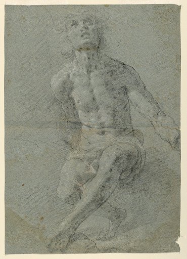 Study for a Male Nude