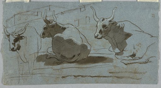 Sketches of Bulls