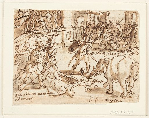 A Roman Soldier Fighting Hannibal's Elephant
