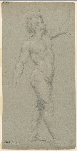 Studies of a male nude