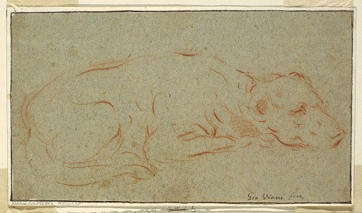 Sketch: A couching dog
