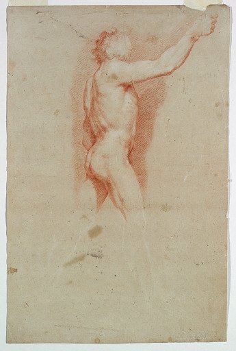 Study: A nude