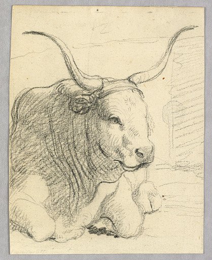 Study: a lying cow