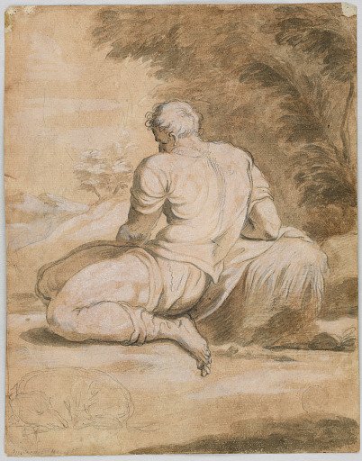 Drawing study: Narcissus (?)