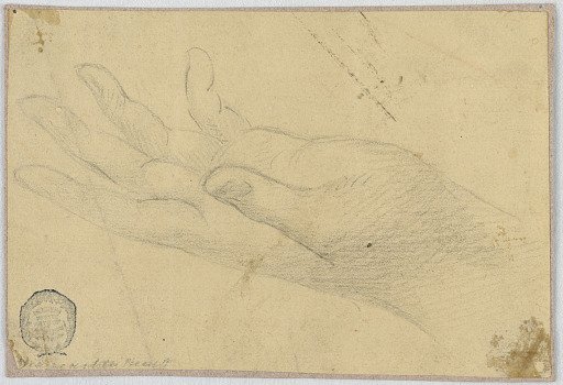 Study: A left hand