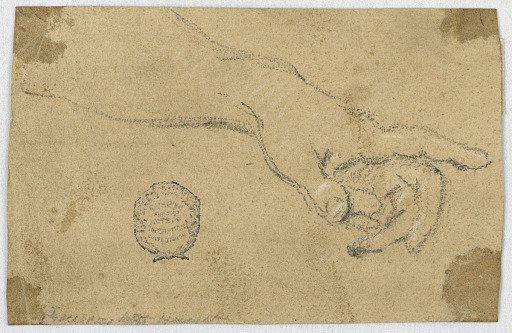 Study: An outstretched left forearm and hand