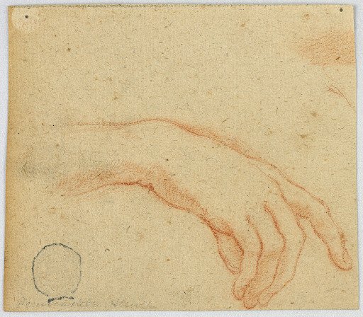 Sketch of a Right Hand