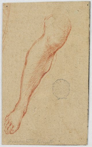 Study for the Right Leg of a Seated Woman