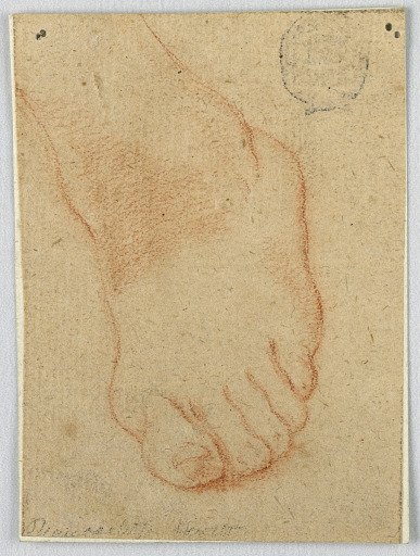 Sketch of a Left Foot
