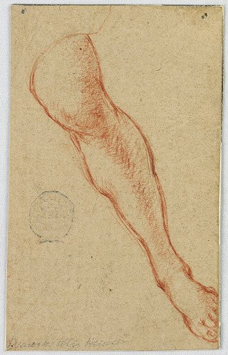 Study of the Left Leg of a Seated Woman