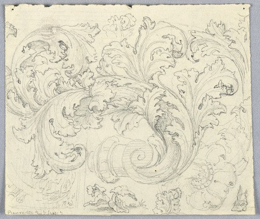 Study for Curling Acanthus Ornament