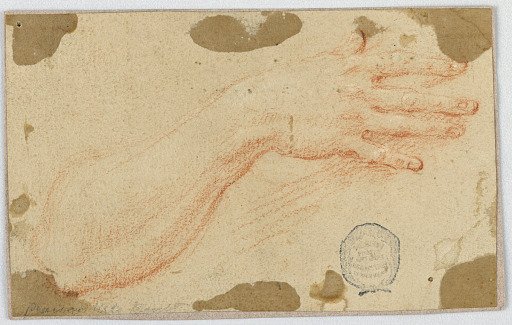 Study for the Right Forearm and Hand of a Woman
