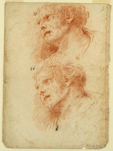 Four Studies After the Head of a Man