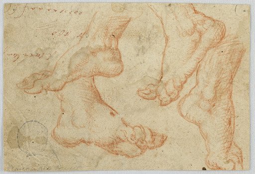 Four Studies of a Foot