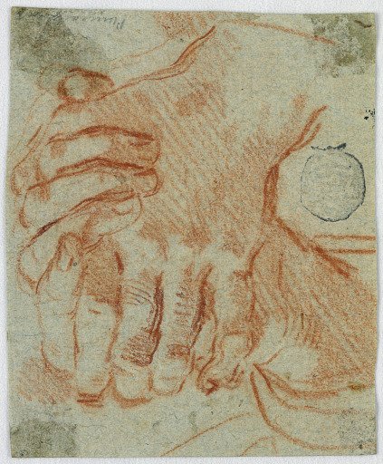 Study of the Closed Hands of a Woman