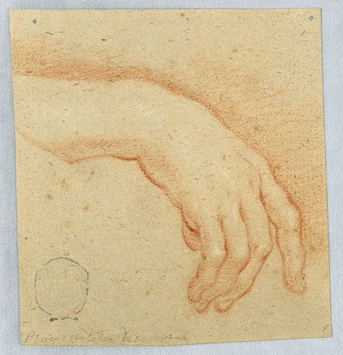 Study of a Right Hand