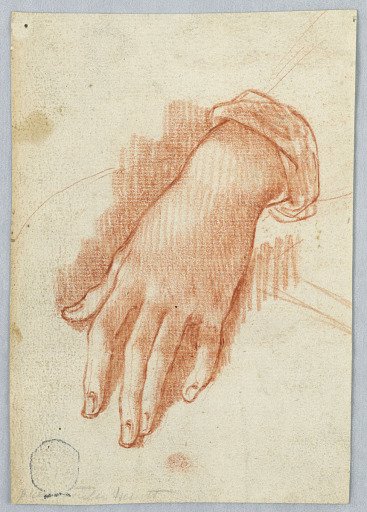 Study of the Left Hand of a Woman