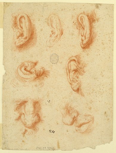 Studies of five ears, noses and a mouth
