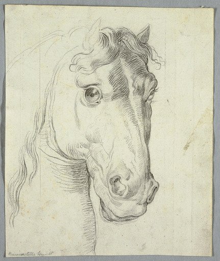 Study of a Horse