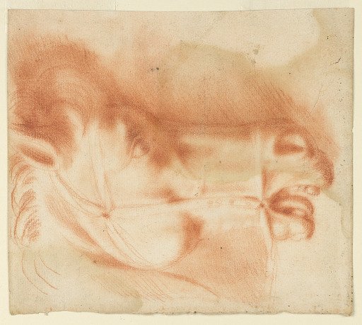 Profile of Horse's Head With Bridle Shown In Profile
