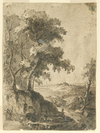 Tree in Landscape