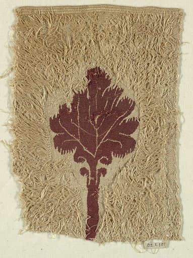 Fragment