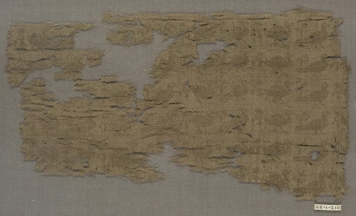 Fragment