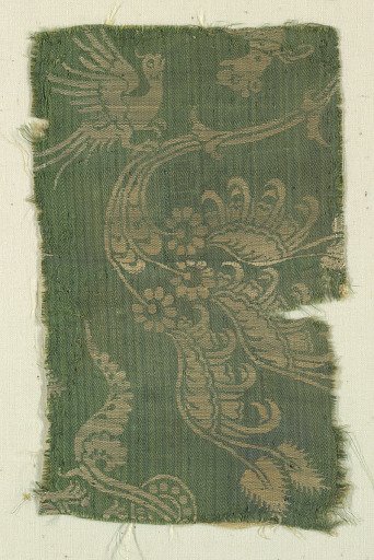 Fragment