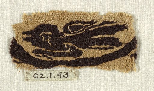 Fragment