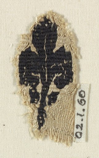 Fragment
