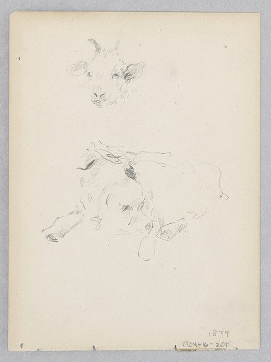 Dog and goat