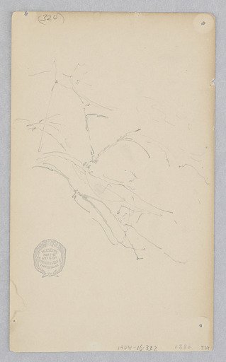 Tree Branch