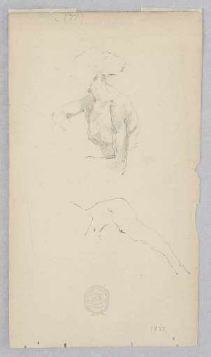 Two Studies after the Nude of a Woman