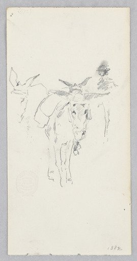 Donkeys
