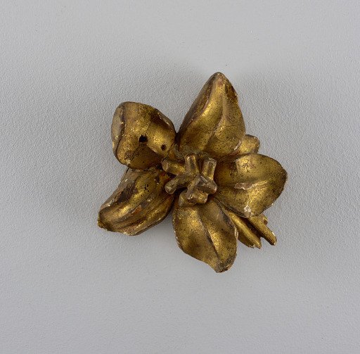 Fragment, floral