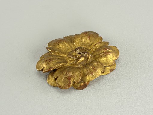 Fragment, floral