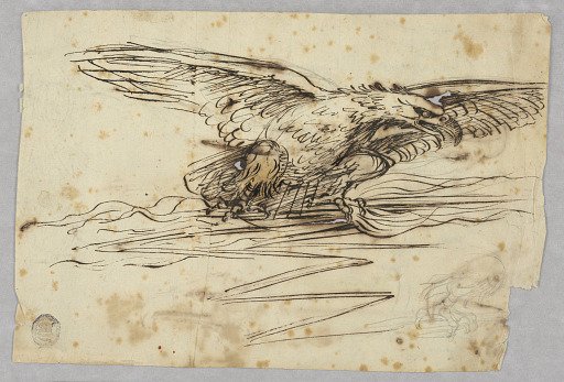 Sketches for the Representation of an Eagle Over a Thunderbolt