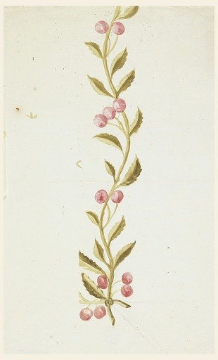 Design for Woven or Embroidered Borders