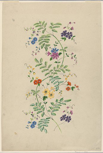 Design for a Vertical Rinceau for a Woven Fabric