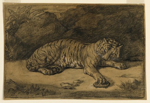 A Tiger and A Tortoise