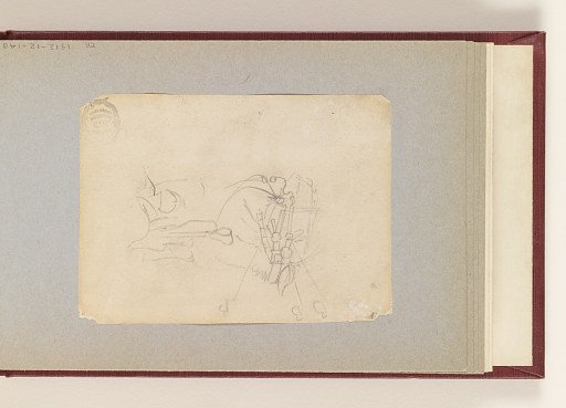 Head of a Horse and a Saddle
