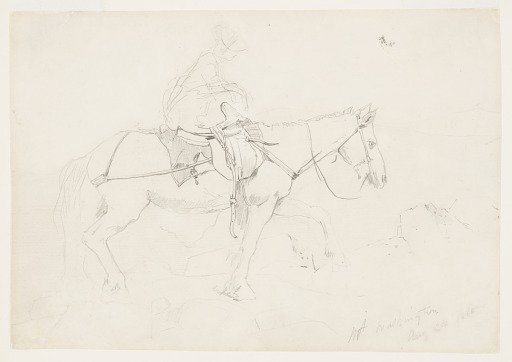 Bridle Path, White Mountains