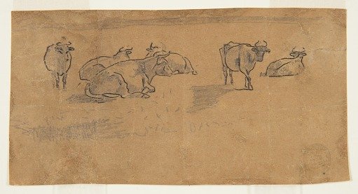 Cows in a Pasture